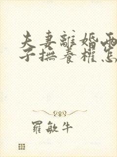 夫妻离婚两个孩子抚养权怎么判定