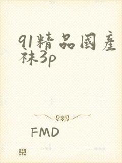 91精品国产丝袜3p