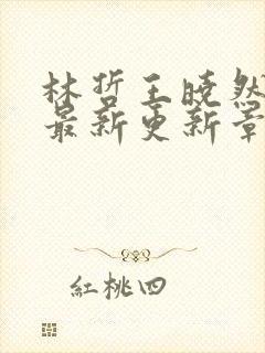 林哲王晓然小说最新更新章节阅读封面