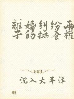 离婚纠纷两个孩子的抚养权如何确定判决