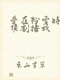 爱在粉雪时光电视剧播放封面