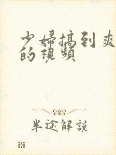 少妇搞到爽高潮的视频