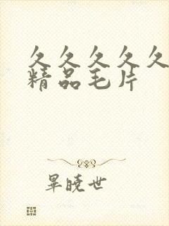 久久久久久国产精品毛片