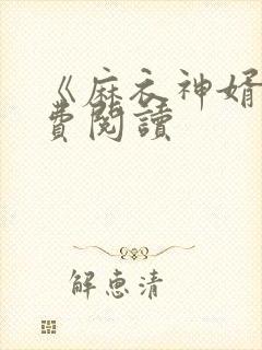 《麻衣神婿》免费阅读