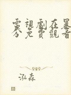 电视剧在暴雪时分免费观看全集封面