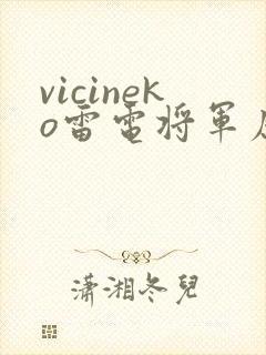 vicineko雷电将军原神同人