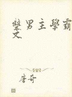 双男主学霸校园文封面