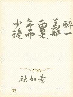 少年白马醉春风后面是哪一部