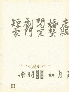 短剧闪婚老公是豪门完整版时长