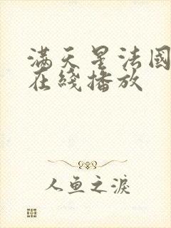 满天星法国空姐在线播放封面