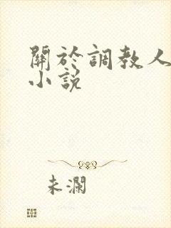 关于调教人妻的小说封面