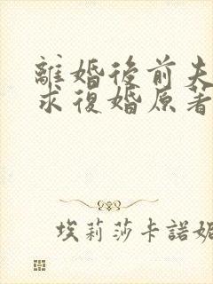 离婚后前夫哭着求复婚原著