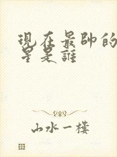 现在最帅的男明星是谁