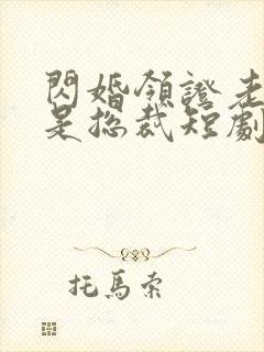 闪婚领证老公竟是总裁短剧