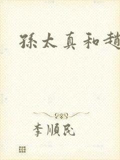 孙太真和赵匡胤