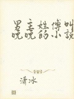 男主姓傅叫女主晚晚的小说