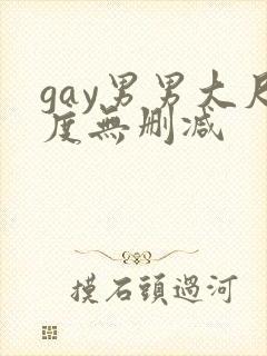 gay男男大尺度无删减封面