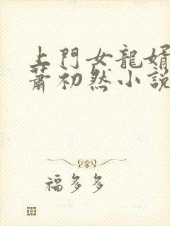 上门女龙婿叶辰萧初然小说封面