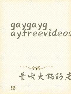 gaygaygayfreevideos封面
