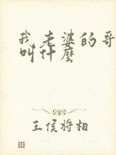 我老婆的哥哥我叫什么