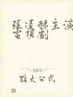 张凌赫主演过的电视剧