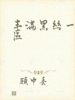 丰满黑丝一区二区封面