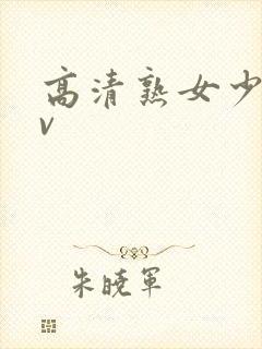 高清熟女少妇av