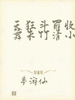 天狂斗罗收服小舞朱竹清小说