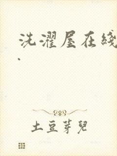 洗濯屋在线观看.