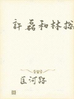 许磊和林总短剧封面