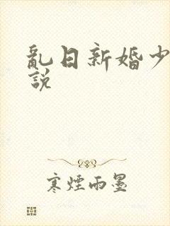 乱日新婚少妇小说