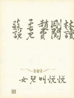 苏柔赵刚林风小说免费阅读第八章