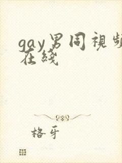 gay男同视频在线