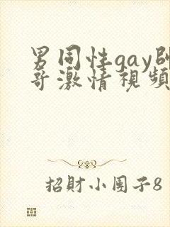 男同性gay帅哥激情视频