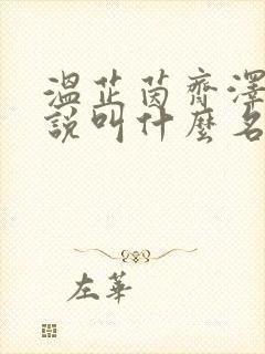 温芷茵齐泽玄小说叫什么名字