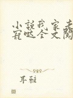 小说我家老公超宠哒全文阅读