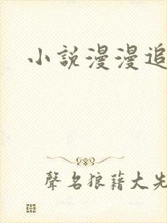 小说漫漫追妻路