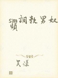 sm调教男奴视频