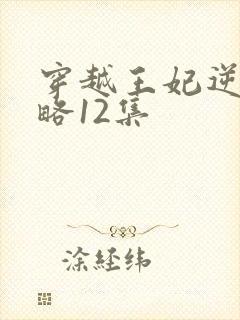 穿越王妃逆袭攻略12集
