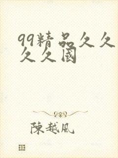 99精品久久久久久国