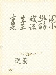 重生娱乐圈喊麦是主流的小说封面