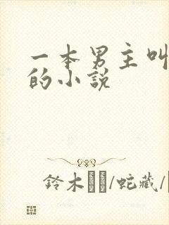 一本男主叫陈笑的小说