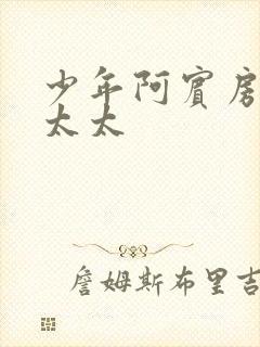 少年阿宾房东胡太太