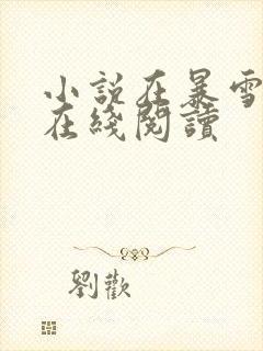 小说在暴雪时分在线阅读