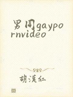 男同gaypornvideo