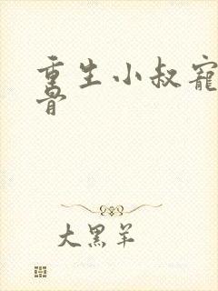 重生小叔宠我入骨