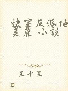 快穿反派他过分美丽 小说封面