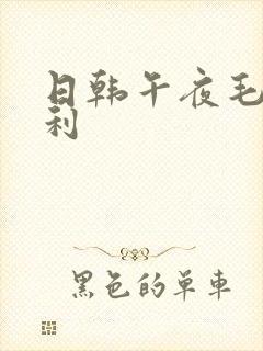 日韩午夜毛片福利