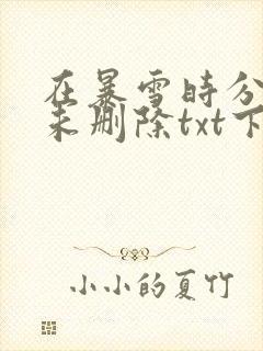 在暴雪时分小说未删除txt下载