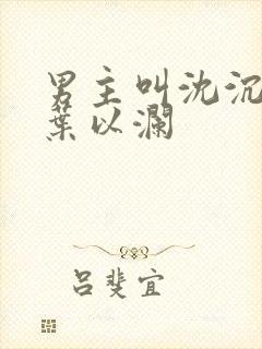 男主叫沈沉女主叶以澜